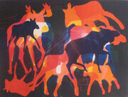 Moose In Colour 1/1